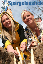 Spargelkönigin Sabrina wird 2009 auf dem Viktualienmarkt die Spargelzeit eröffnen mti einem symbolischen Anstich (Foto: Spargel)
